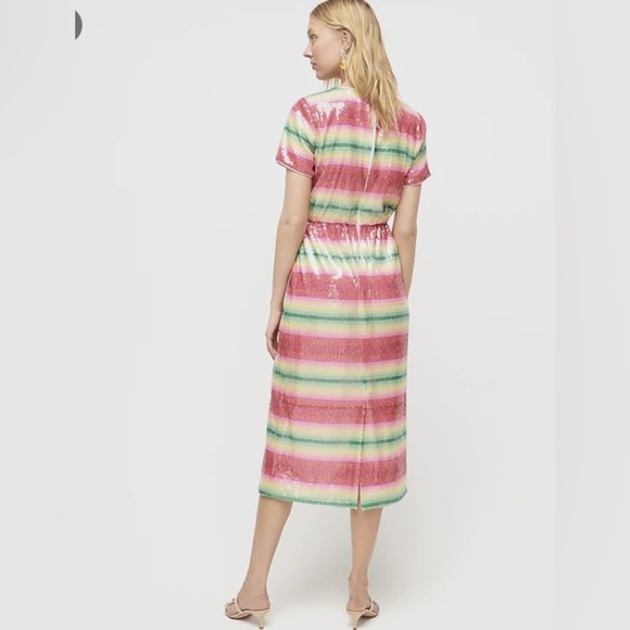 J Crew Dress Women's Sz 2 Watermelon Sequined Lined A-line MIdi Sparke NWT $129 - Picture 9 of 12